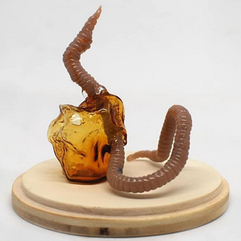 Fabienne SCHNEIDER sculpteur verrier et créatrice contemporaine - Bischheim